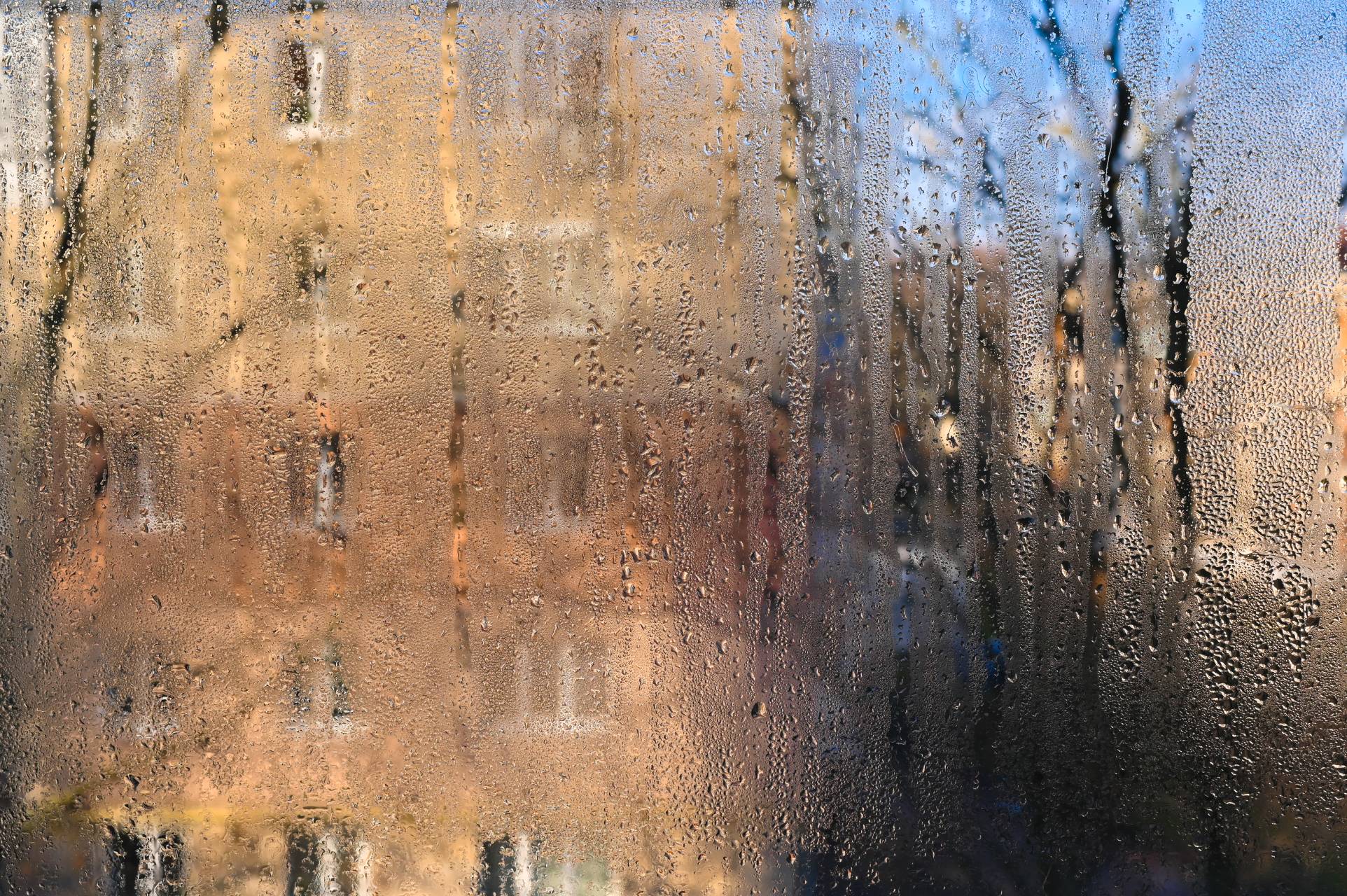 The Impact of Condensation on Windows and How to Stop It
